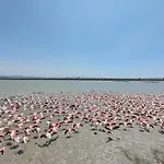 Avocetta Luxury By Travelpro - Halkidiki * Nea Poteidaia