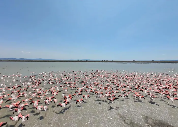 Avocetta Luxury By Travelpro - Halkidiki * Nea Poteidaia