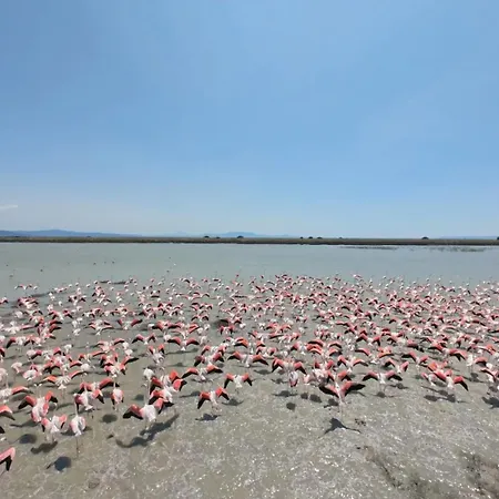 Avocetta Luxury By Travelpro - Halkidiki * Nea Poteidaia