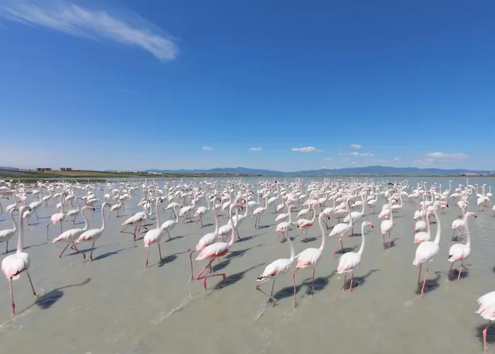 别墅 Avocetta Luxury By Travelpro - Halkidiki